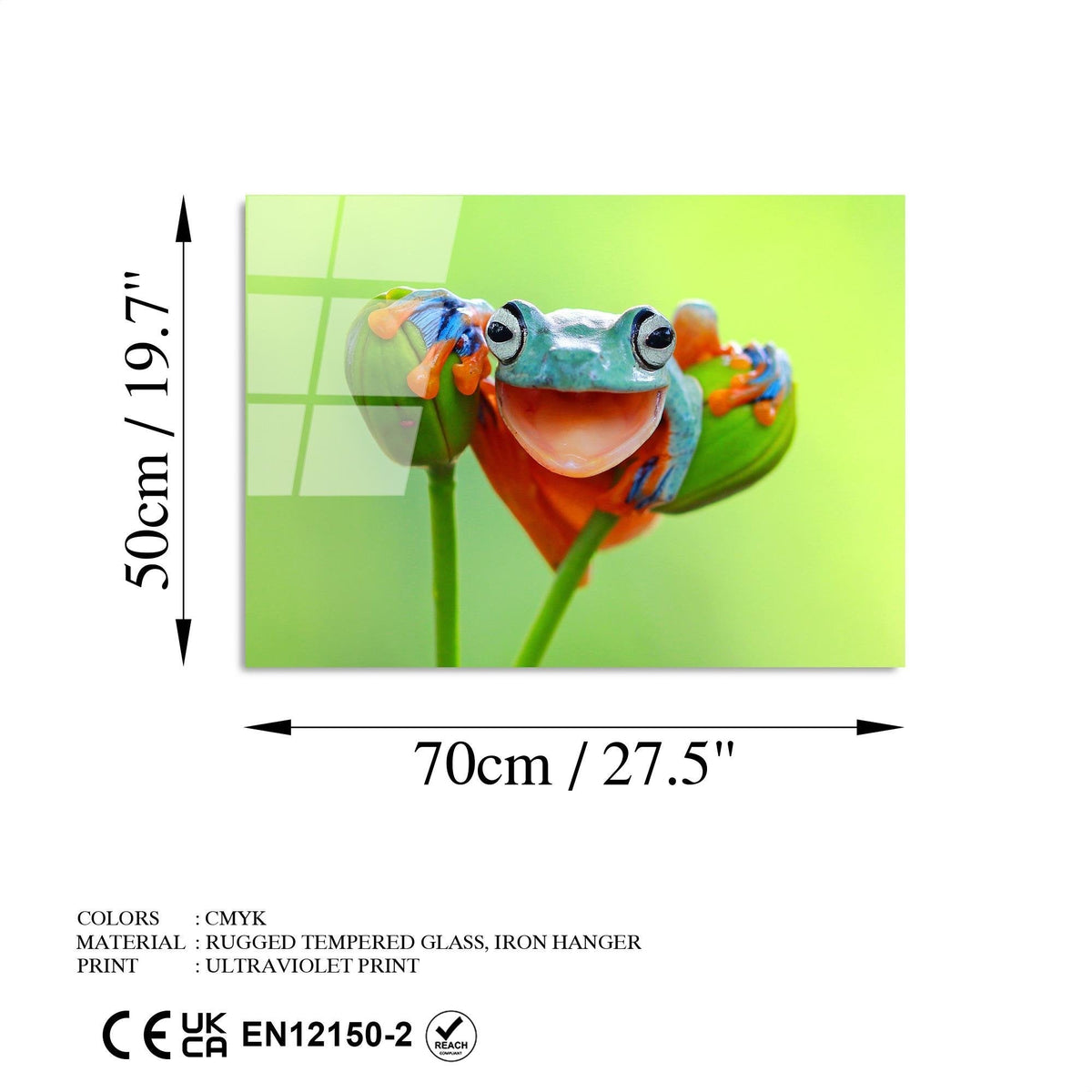 Uv-278 Baskılı Cam Dikdörtgen Duvar Tablosu 