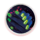 Clementoni-Bilim Ve Oyun Tırnak Laboratuvarı +8 Yaş-Oyun Setleri-4-Milagron.com