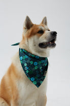 Hypet Fashion-Lime Bandana-Köpek-3-Milagron.com