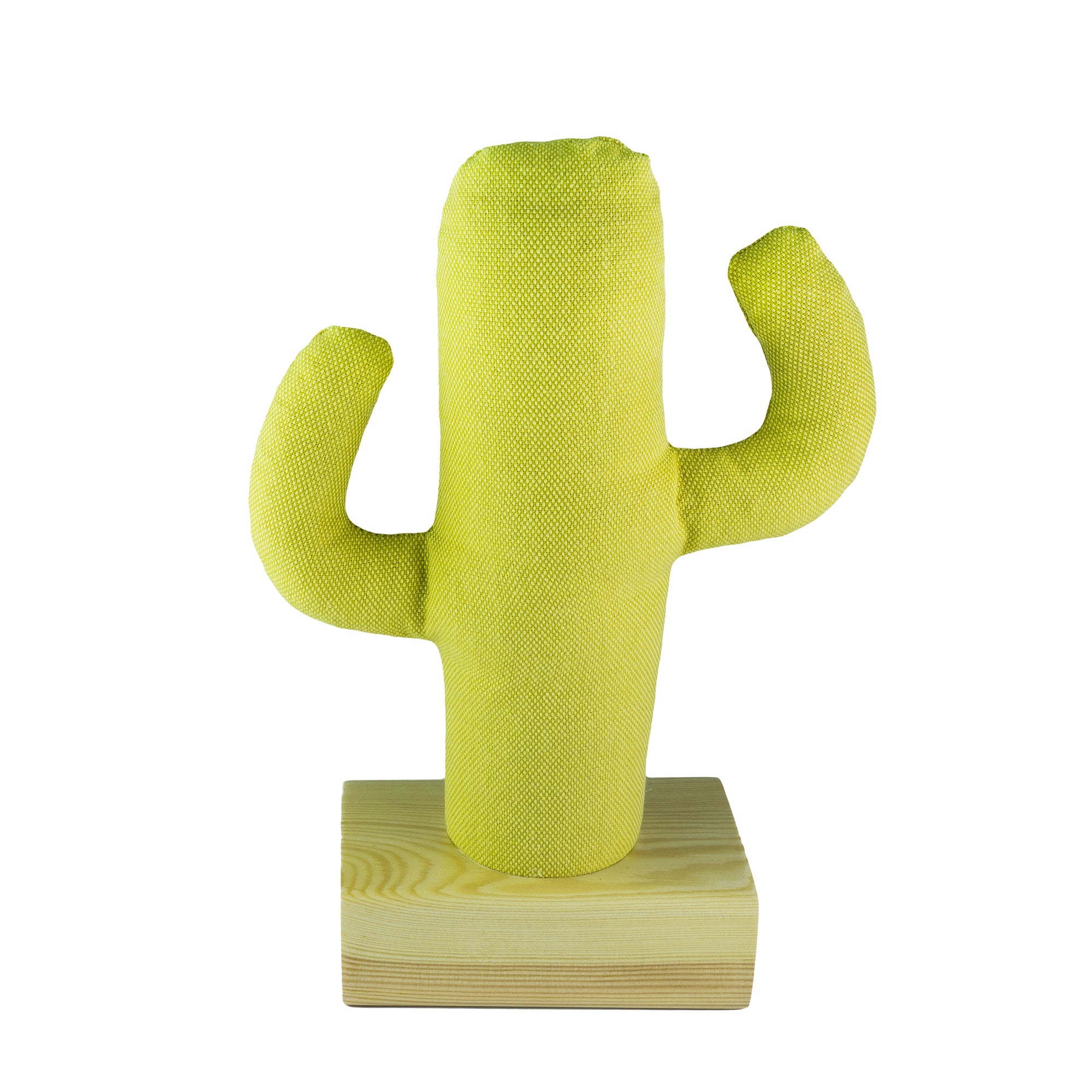 Kayigo-Cactus Xl Lavanta Dolgulu Notluk-Masaüstü Organizer-1-Milagron.com