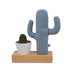 Kayigo-Flowery Saksılı Notluk Mavi Kaktüs-Masaüstü Organizer-1-Milagron.com