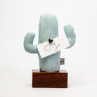 Kayigo-Kayıgo Cactus Lavanta Dolgulu Notluk-Masaüstü Organizer-1-Milagron.com