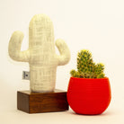 Kayigo-Kayıgo Cactus Lavanta Dolgulu Notluk-Masaüstü Organizer-4-Milagron.com