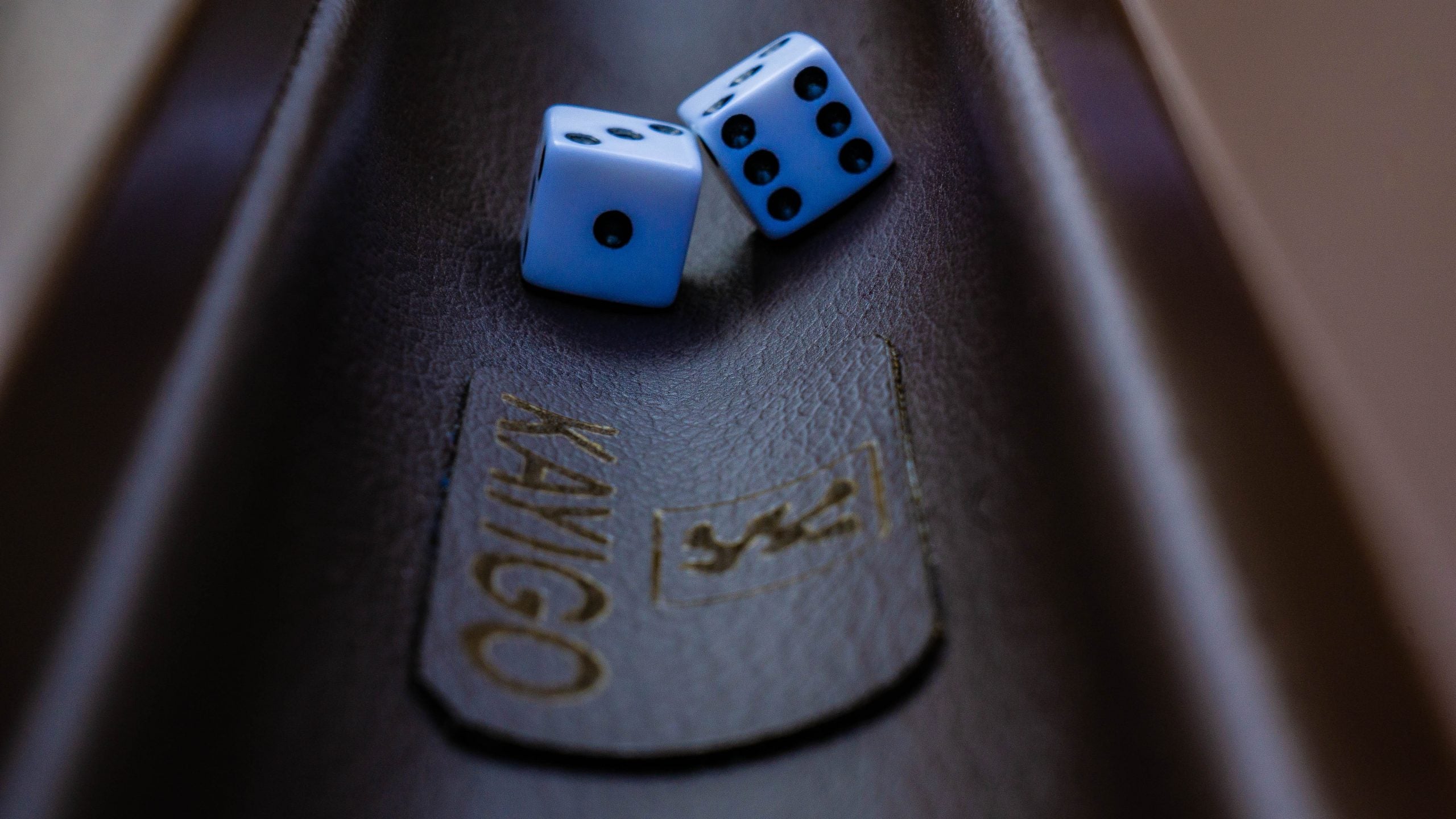 Kayigo-Kayıgo Tavla Büyük Boy Yeşil Yaprak Desenli-Tavla-5-Milagron.com