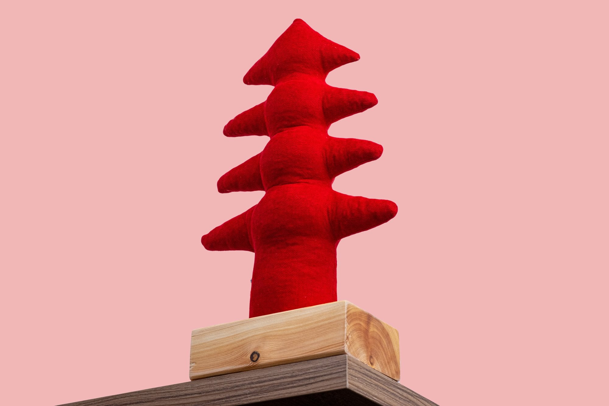 Kayigo-çam Xl Lavanta Dolgulu Notluk Kırmızı-Masaüstü Organizer-2-Milagron.com