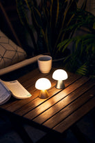 Lexon-Mina Led Lamba-Masa Lambası-2-Milagron.com