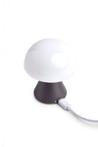 Lexon-Mina Led Lamba-Masa Lambası-3-Milagron.com