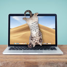 Mustard-Mustard Cat Asılabilir Notluk-Notluk-4-Milagron.com