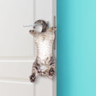 Mustard-Mustard Cat Asılabilir Notluk-Notluk-6-Milagron.com