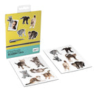 Mustard-Mustard Sinirli Kediler Magnet-Magnet-2-Milagron.com