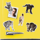 Mustard-Mustard Sinirli Kediler Magnet-Magnet-3-Milagron.com