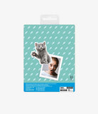 Mustard-Mustard Sinirli Kediler Magnet-Magnet-4-Milagron.com