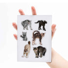 Mustard-Mustard Sinirli Kediler Magnet-Magnet-5-Milagron.com