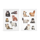 Mustard-Mustard şişman Kediler Magnet-Magnet-1-Milagron.com