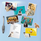 Mustard-Mustard şişman Kediler Magnet-Magnet-3-Milagron.com