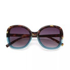 Okkia-Okkia Anna Butterfly Güneş Gözlüğü Havana Mavisi-Güneş Gözlüğü-1-Milagron.com