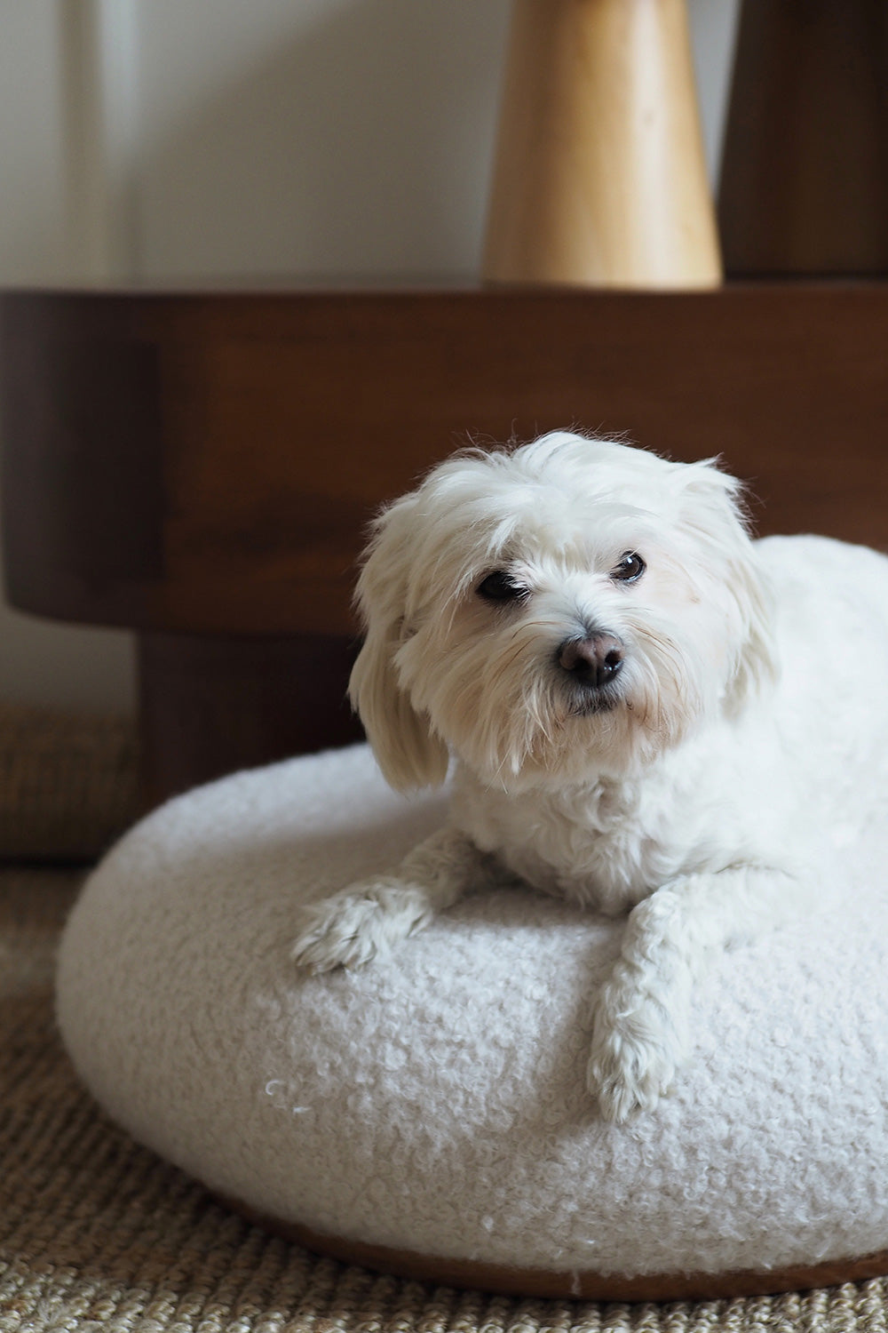 Tuca's Home-Tuca’s Teddy Pet Puf-Sehpa-2-Milagron.com