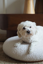 Tuca's Home-Tuca’s Teddy Pet Puf-Sehpa-2-Milagron.com