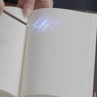 Wizarding World-Harry Potter Lisanslı Tom Riddle'ın Günlük Fener ve Kalem Seti-Figürler-5-Milagron.com